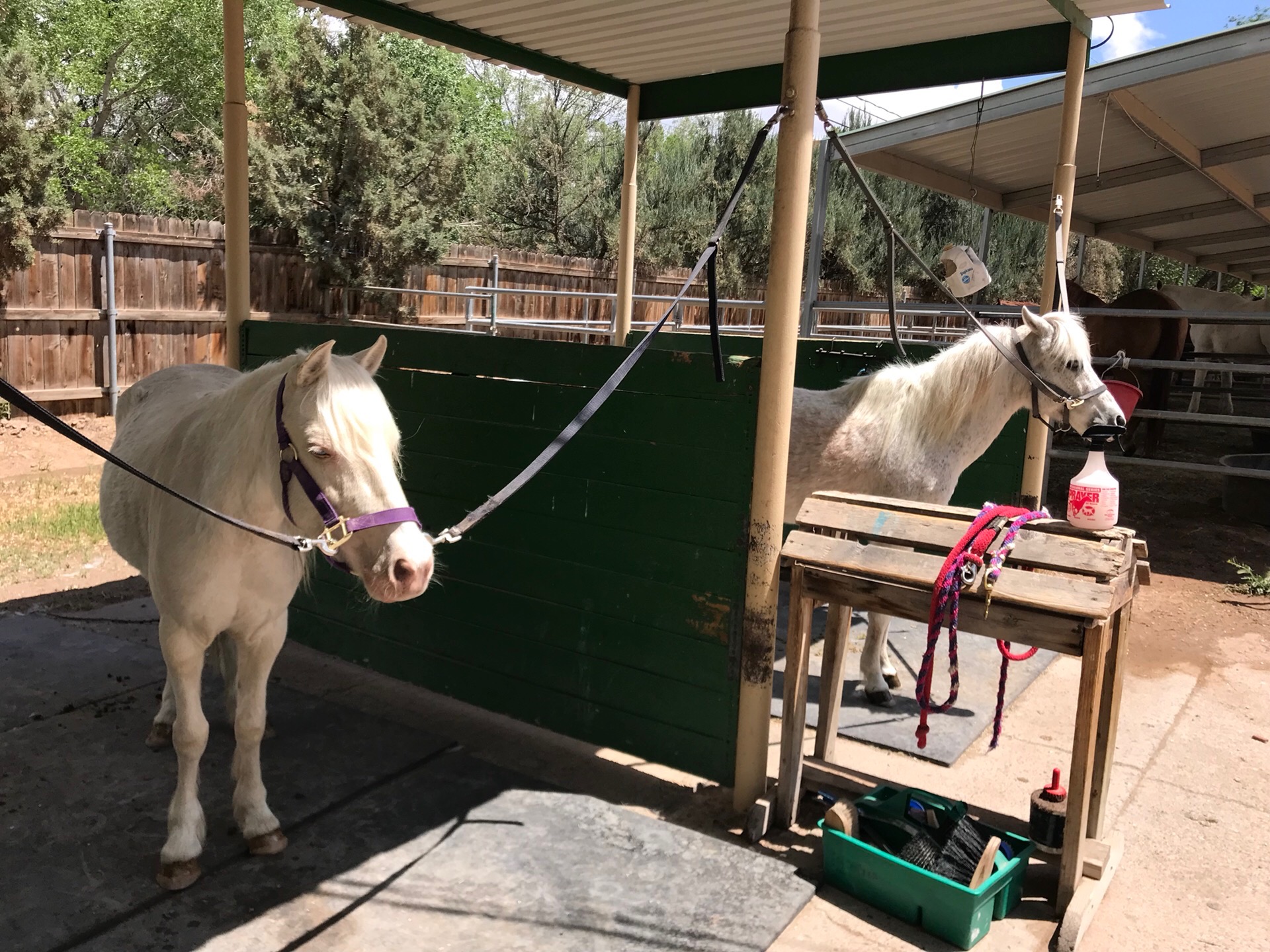 Pixie and Glory Crossties